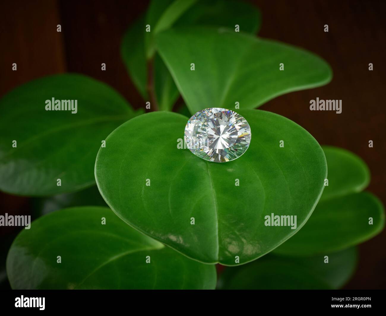 Oval Lab Grown Ethical Diamond on Green Leaf Background Stock Photo