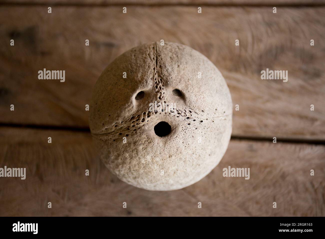 Coconut shell with three holes on a wooden background. Stock Photo