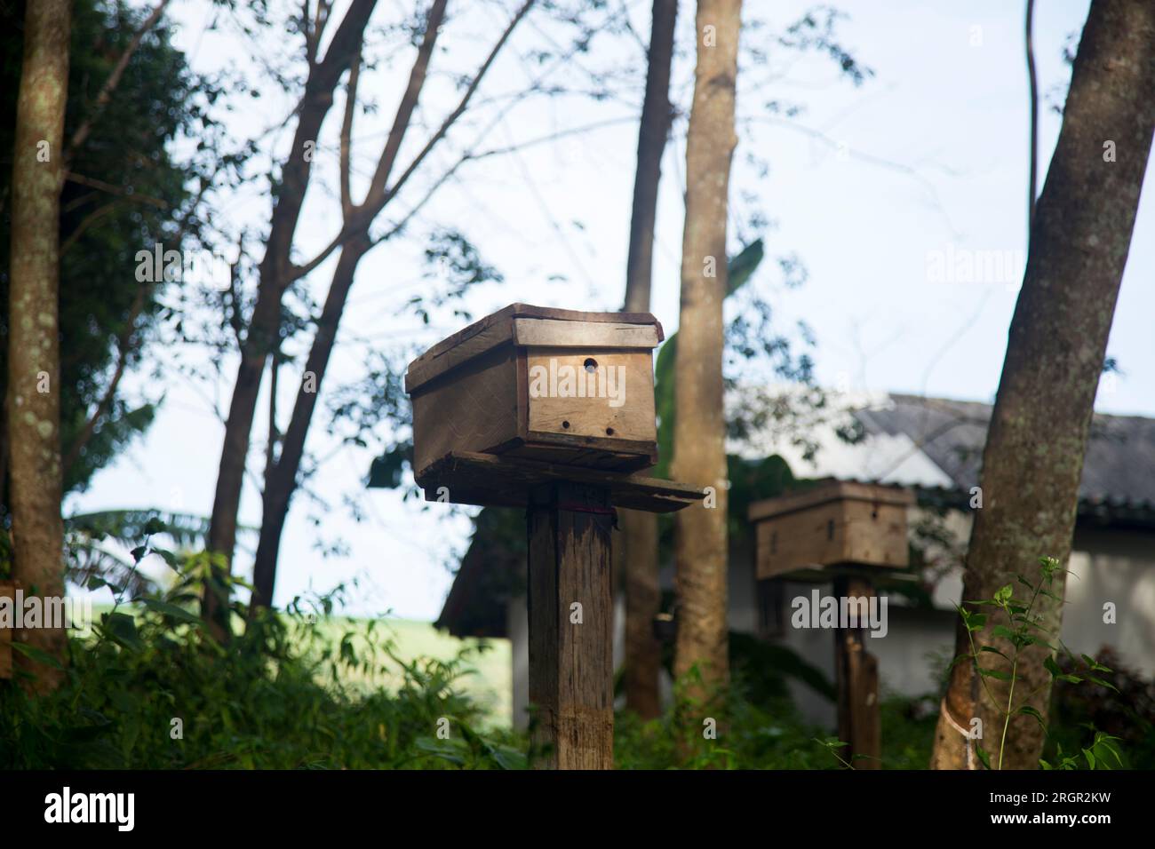 Wooden bee house on a farm on the island of Ko Yao in southern Thailand. Stock Photo