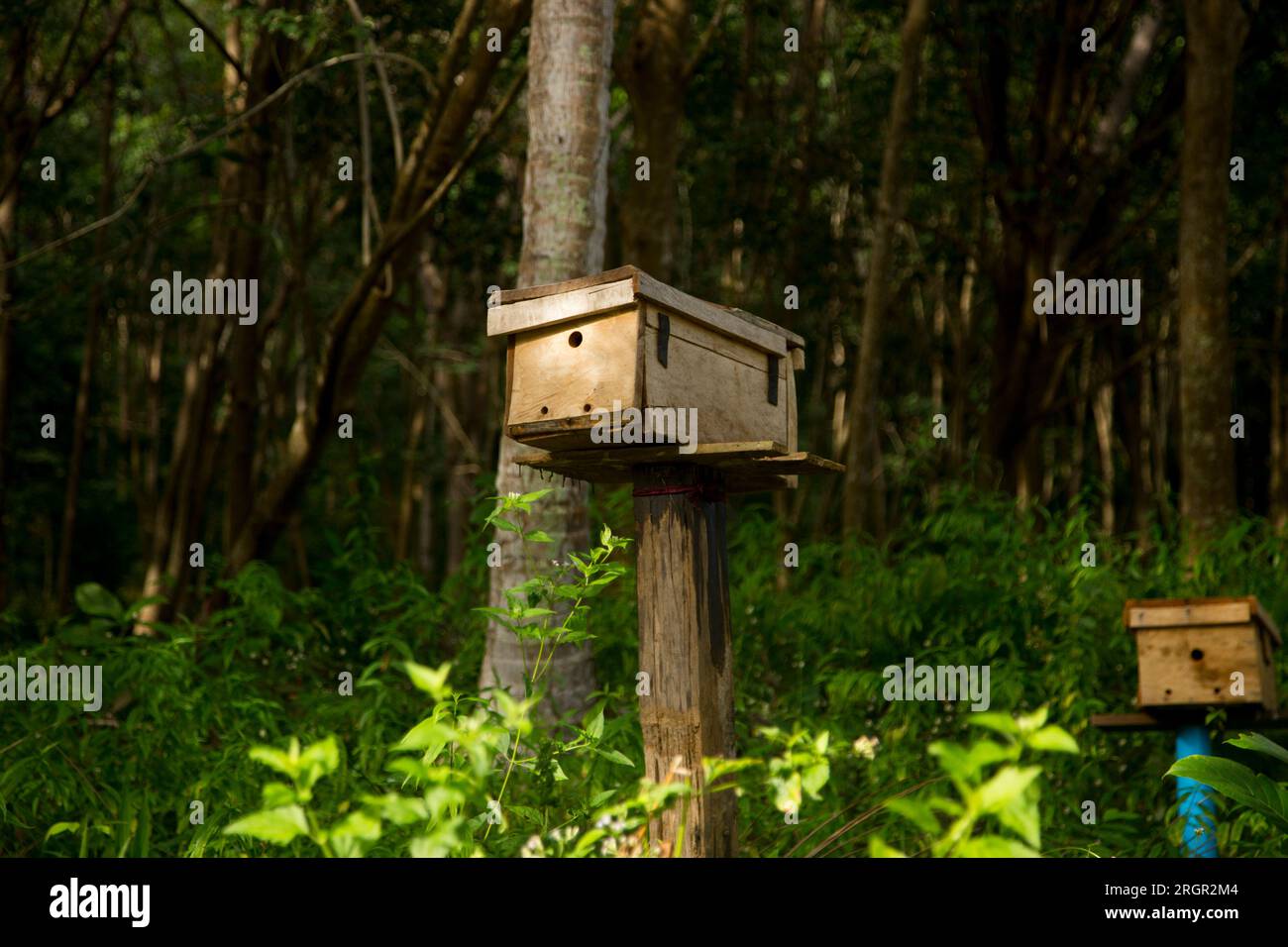 Wooden bee house on a farm on the island of Ko Yao in southern Thailand. Stock Photo