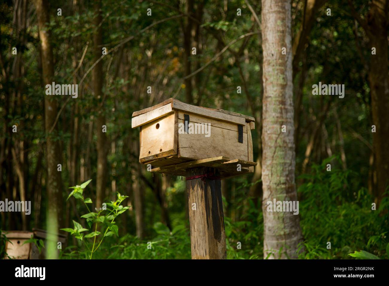 Wooden bee house on a farm on the island of Ko Yao in southern Thailand. Stock Photo