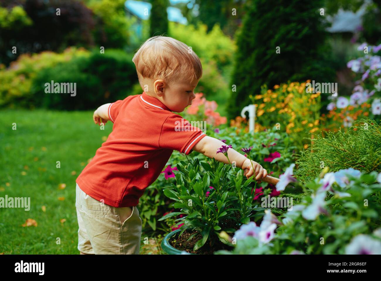 One year child care flowers in the garden Stock Photo