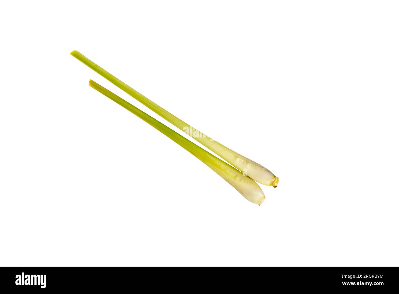 Lemongrass or of the scientific name Cymbopogon Citratus isolated on a white background. Stock Photo