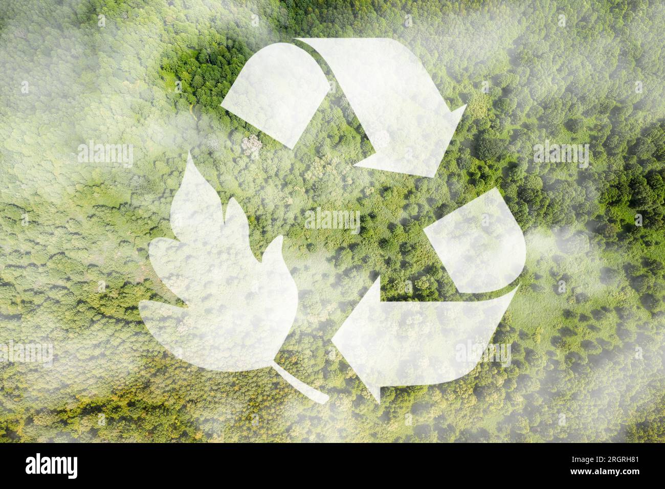 Recycle and Zero waste symbol in the middle of a beautiful untouched jungle for Sustainable environment development goals on Top view of nature. SDGs. Stock Photo