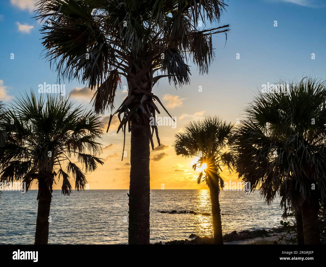 Late aftyernoon sun over the Gulf of Mexico behind silhouetted palm trees on Caspersen Beach in Venice Florida USA Stock Photo