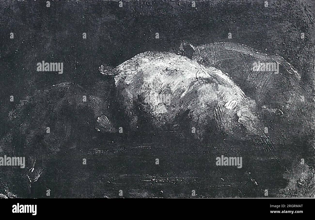 Fressende Schweine 1889 by Lovis Corinth Stock Photo
