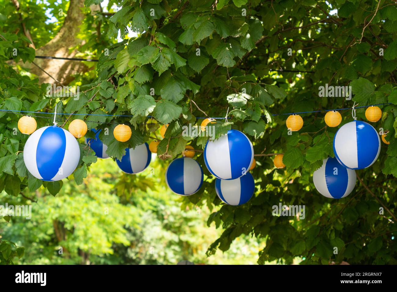 Blue, white and yellow balls decorate a green tree Stock Photo