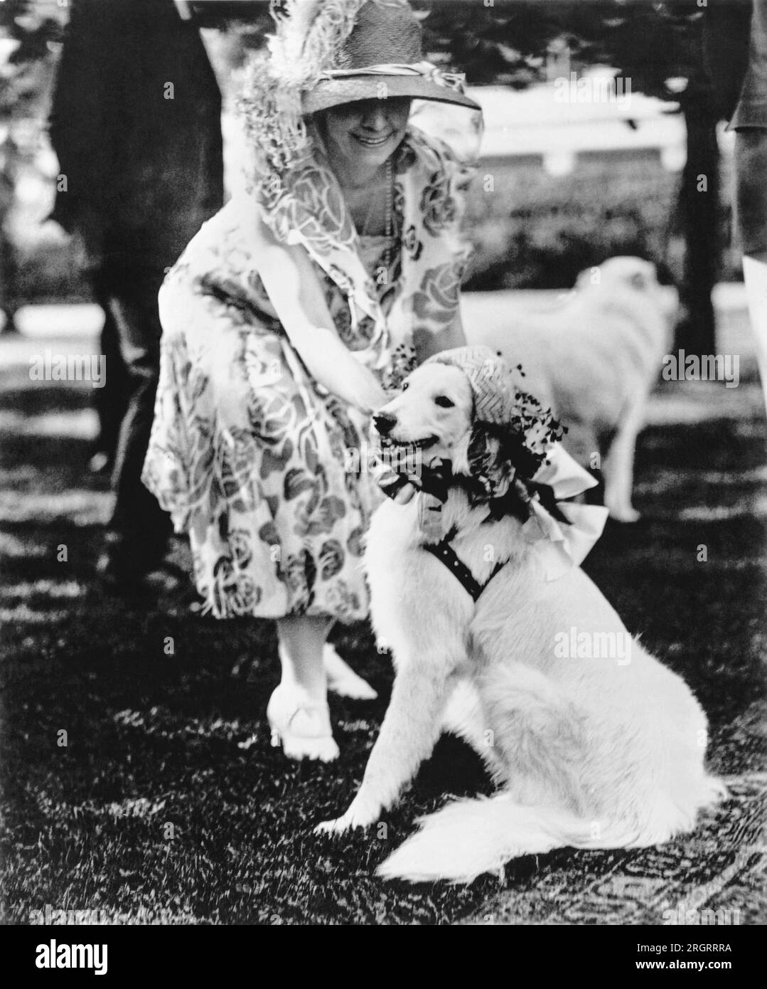 Washington, D.C.:  June, 1926. Mrs. Coolidge dresses up her white collie, Rob Roy, in a bonnet for a White House garden party. Stock Photo