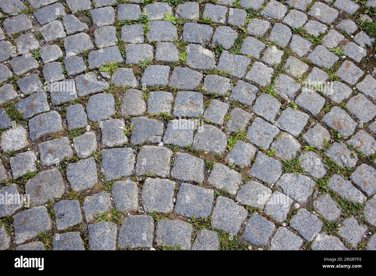 Old gray stone pavement texture Stock Photo