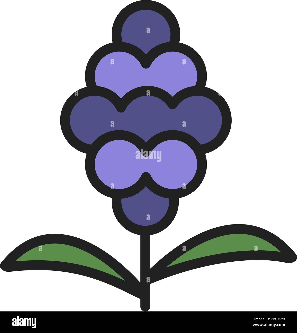 Hyacinth Icon image. Suitable for mobile application Stock Vector Image ...