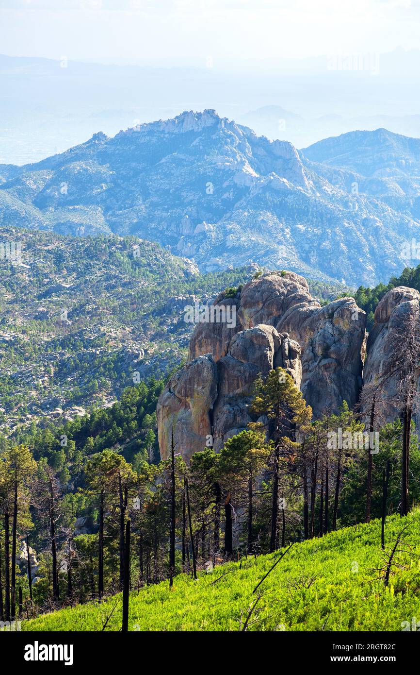 The Meadow Trail offers a view of Tucson in August, Mount Lemmon, Santa Catalina Mountains,  Coronado National Forest, Summerhaven, Arizona, USA Stock Photo