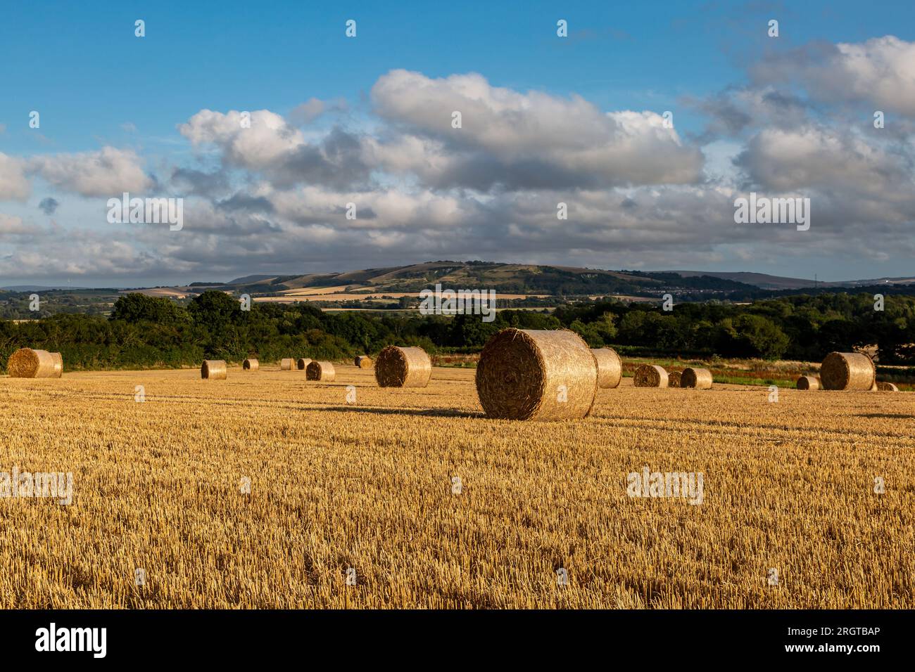 Bales on a Sussex hillside, with Malling Down in the distance Stock Photo
