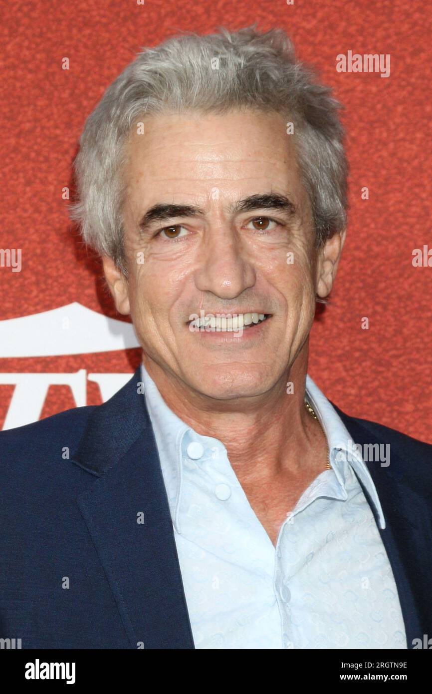 Los Angeles, CA. 10th Aug, 2023. Dermot Mulroney at arrivals for VARIETY Power Of Young Hollywood Event, NeueHouse Hollywood, Los Angeles, CA August 10, 2023. Credit: Priscilla Grant/Everett Collection/Alamy Live News Stock Photo