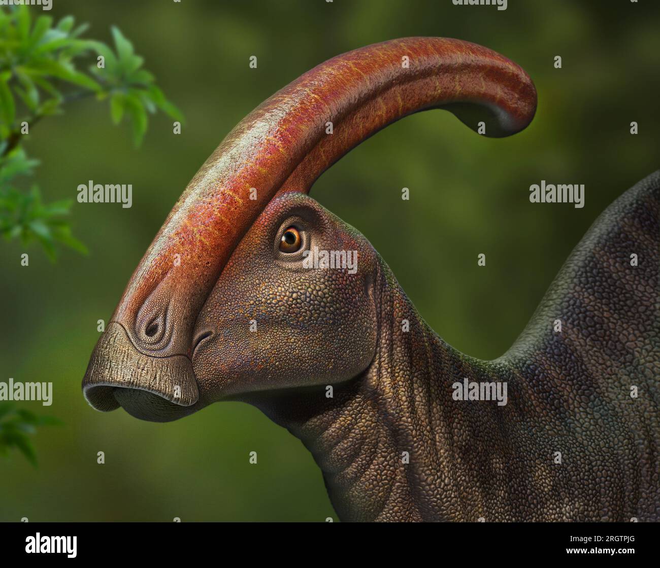 Parasaurolophus Stock Photo