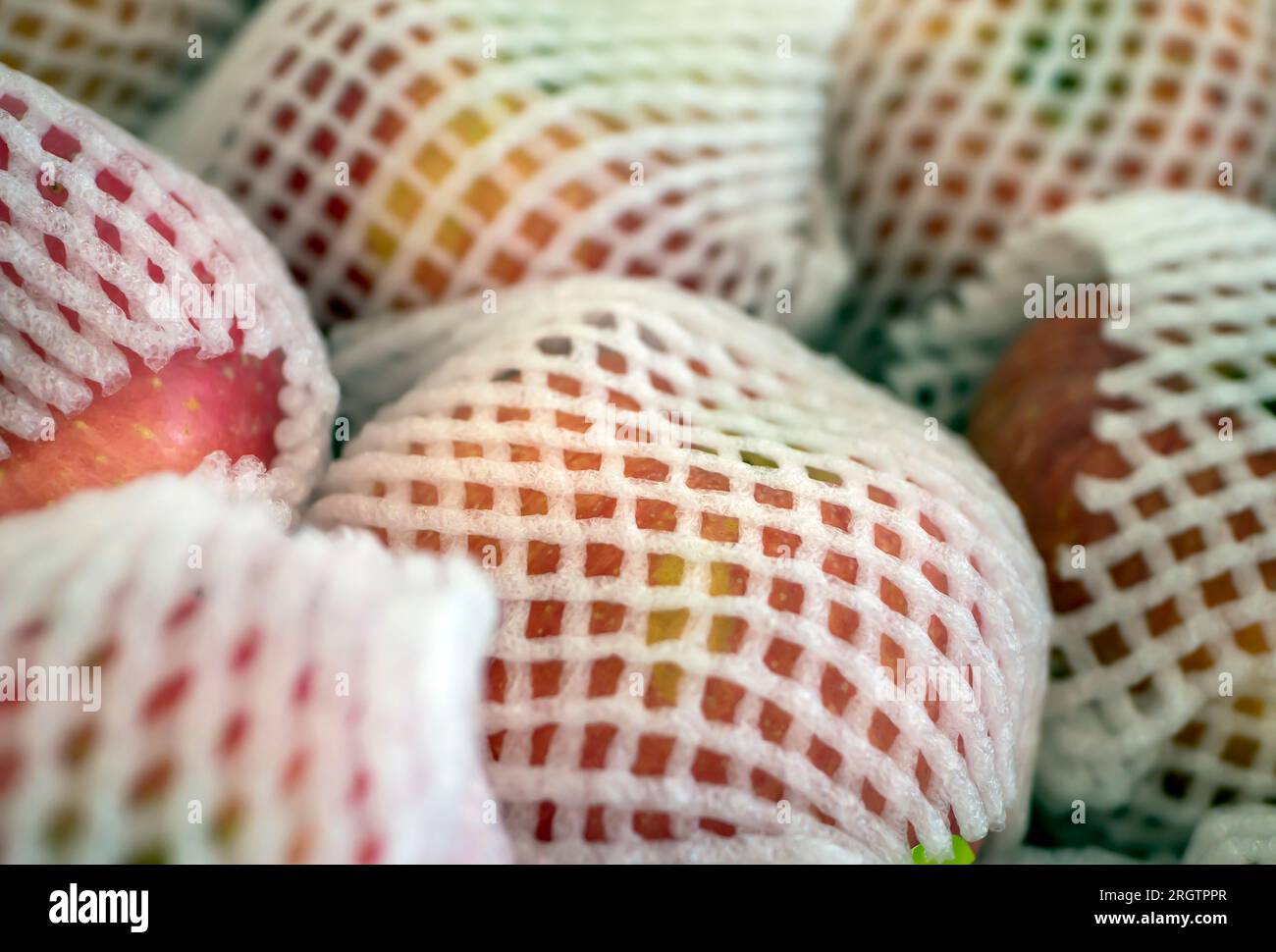Apples wrapped with styrofoam, not an environmentally friendly packaging material. Stock Photo