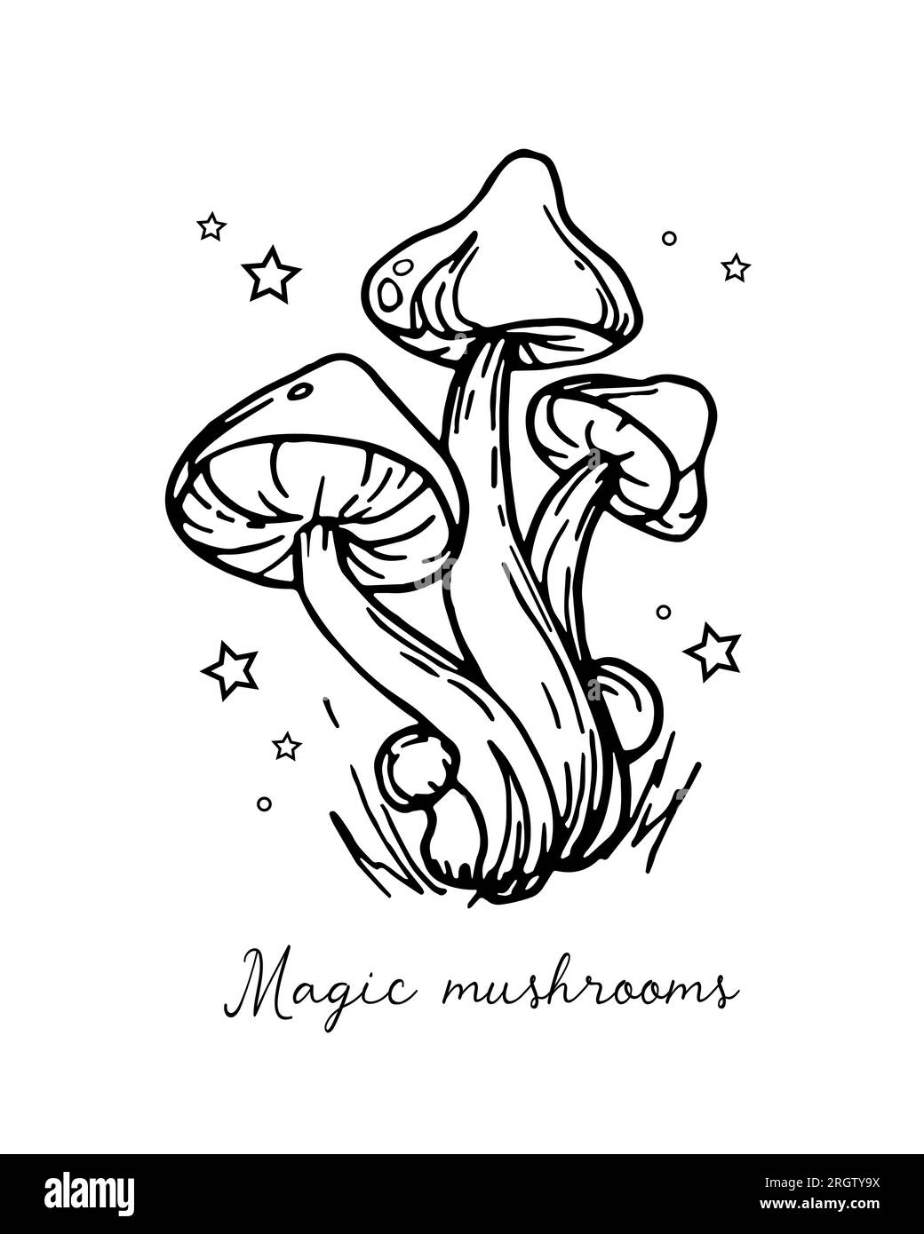 Graphic vintage mushrooms with stars. Botanical illustrations. Witch mushrooms for Halloween. Graphic vintage doodle illustration with space magic mus Stock Vector