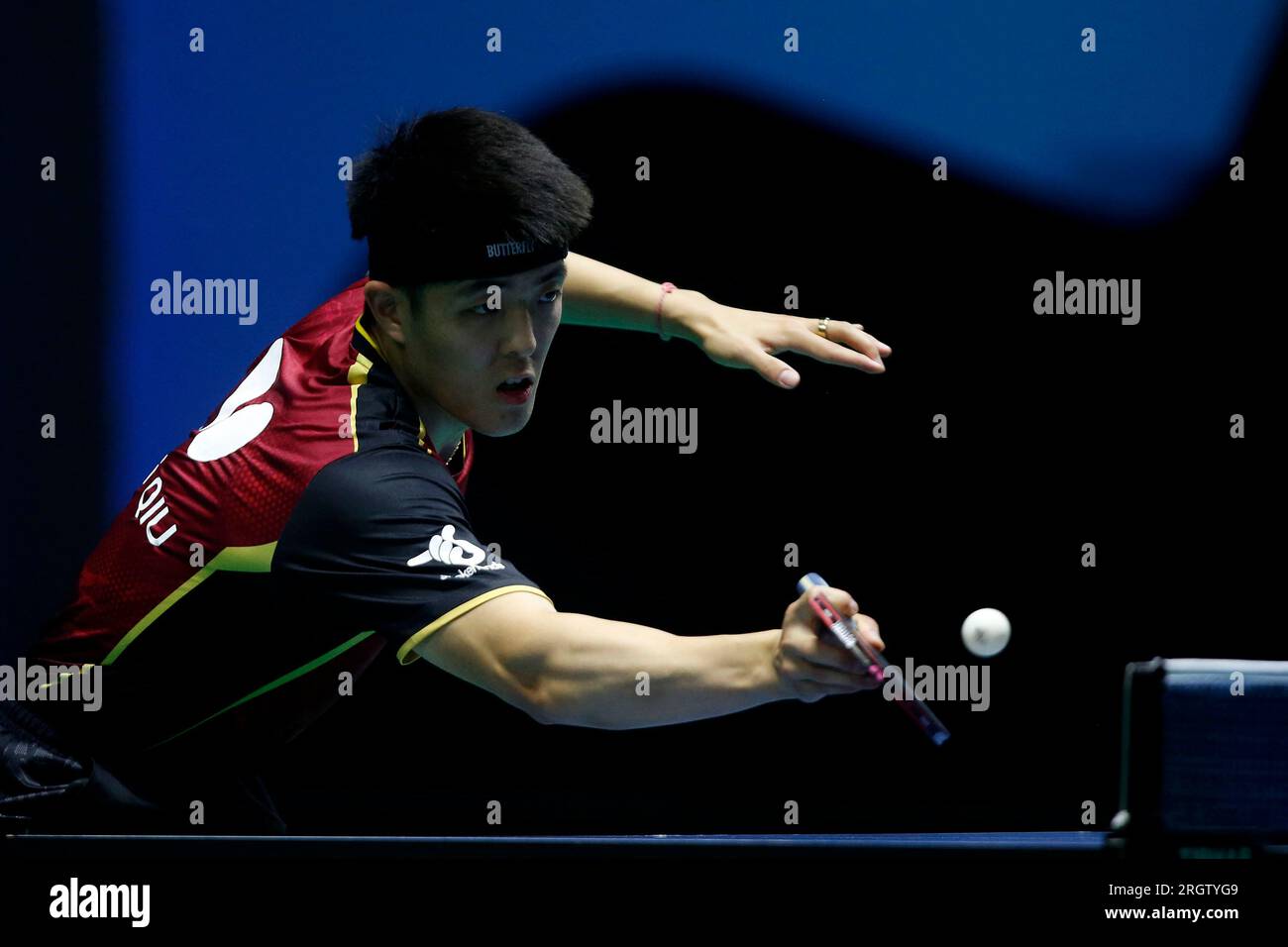 Rio de Janeiro, Brazil. 11th Aug, 2023. Dang QIU (GER) compete during Men's Singles match against Vitor Ishiy (BRA), during round of 16 of the WTT Contender Rio de Janeiro 2023, at Arena Carioca 1, in Rio de Janeiro on August 11. Photo: Satiro Sodr/DiaEsportivo/Alamy Live News Credit: DiaEsportivo/Alamy Live News Stock Photo