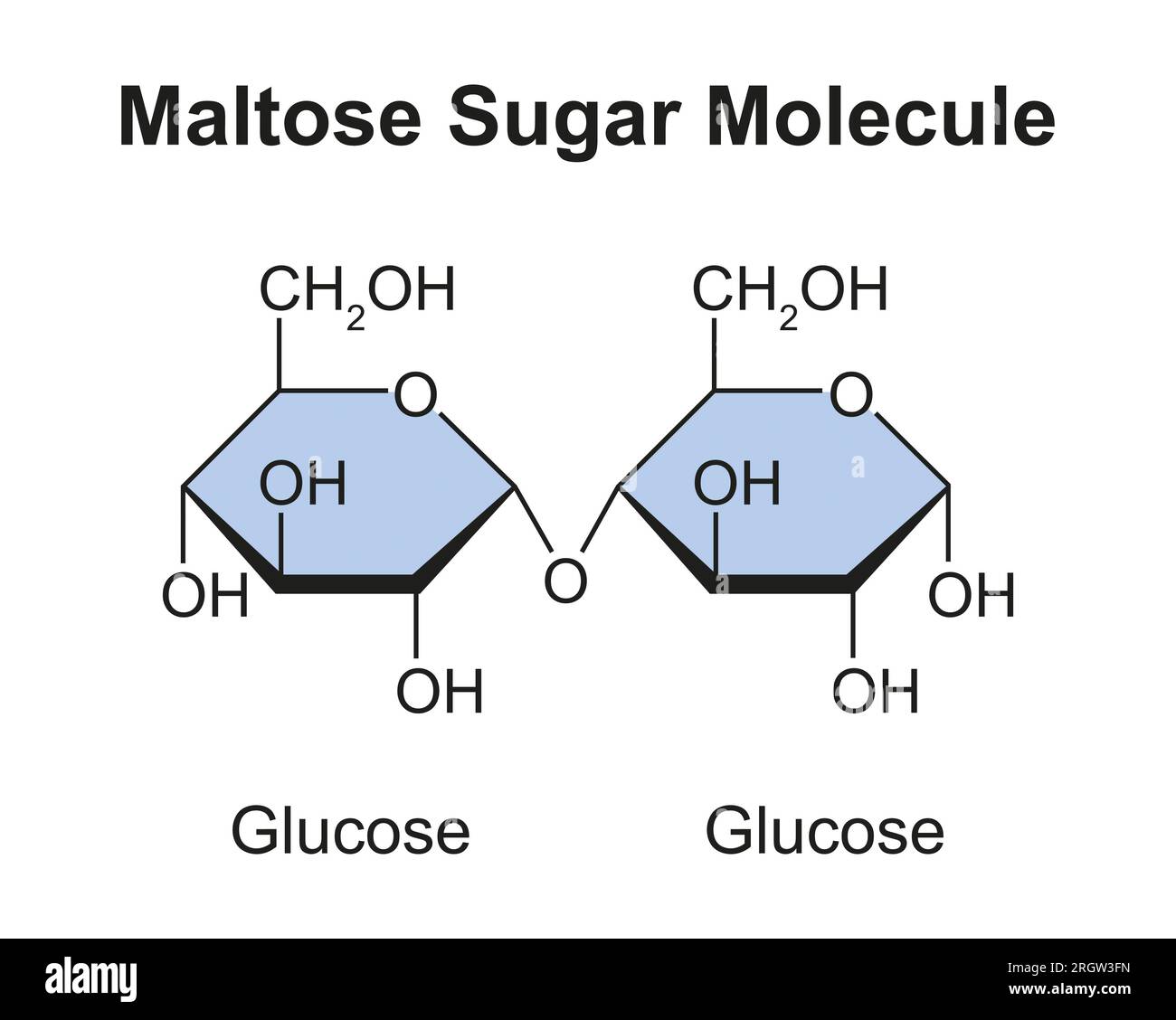 Maltose sugar molecule, illustration Stock Photo Alamy