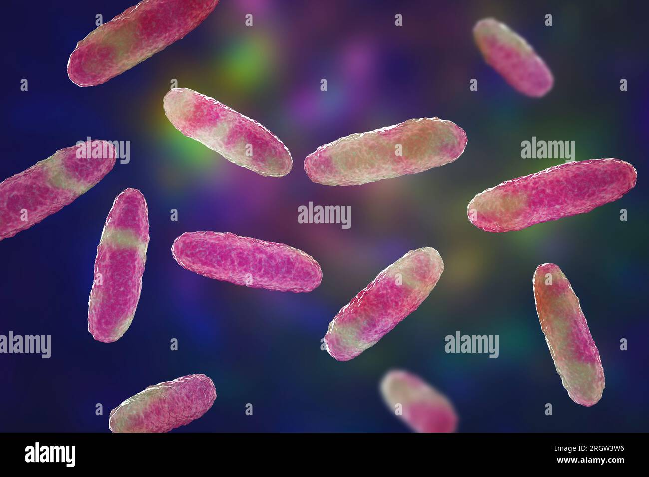 Klebsiella bacteria, illustration Stock Photo - Alamy