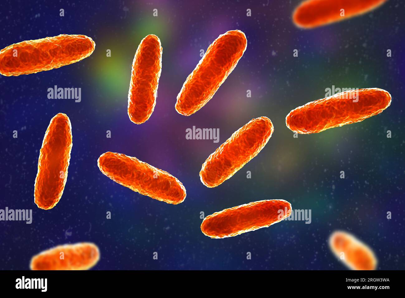 Klebsiella bacteria, illustration Stock Photo - Alamy
