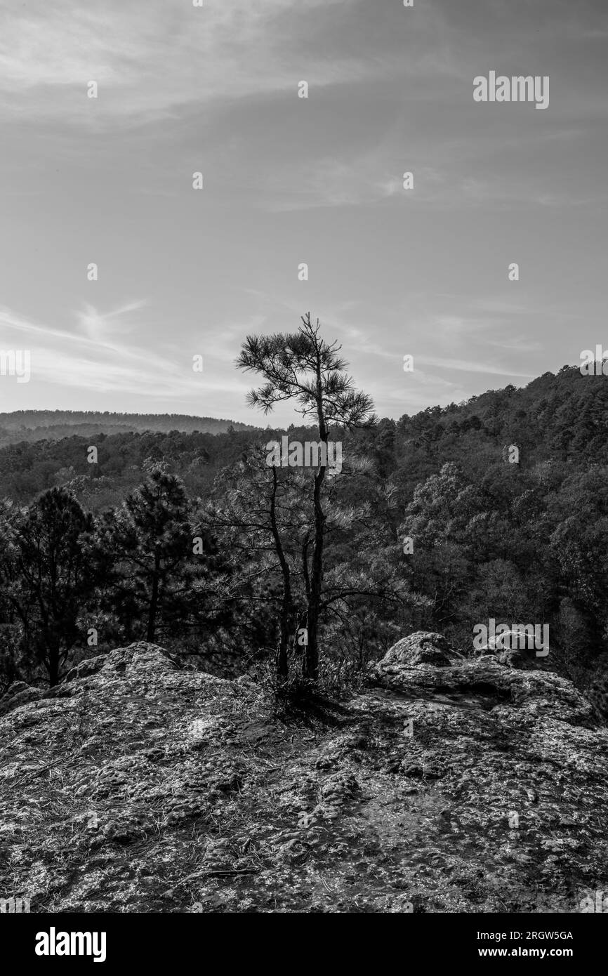 Witts springs hires stock photography and images Alamy