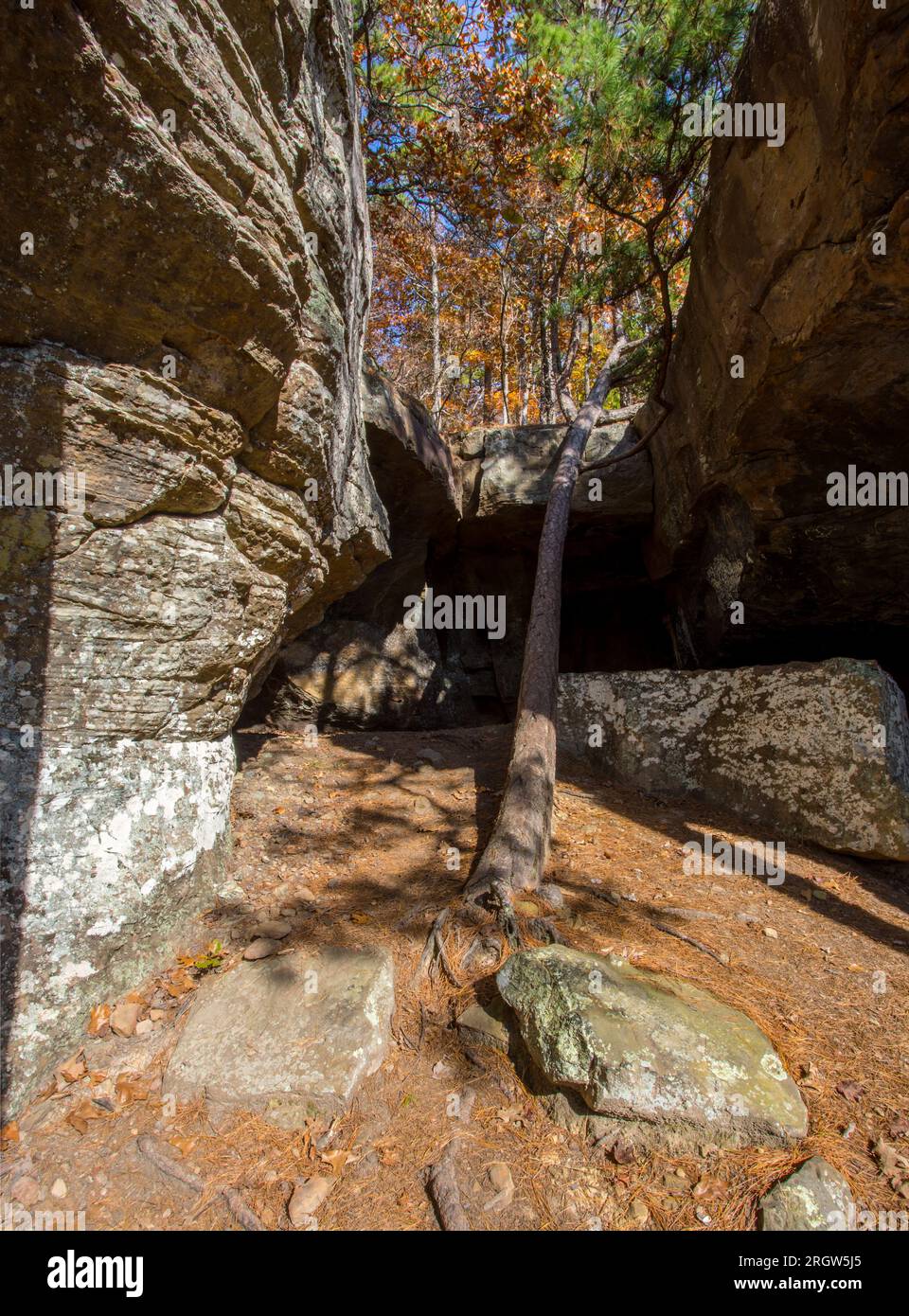 Fall at Pedestal Rock Scenic Area in Witts Springs, Arkansas Stock
