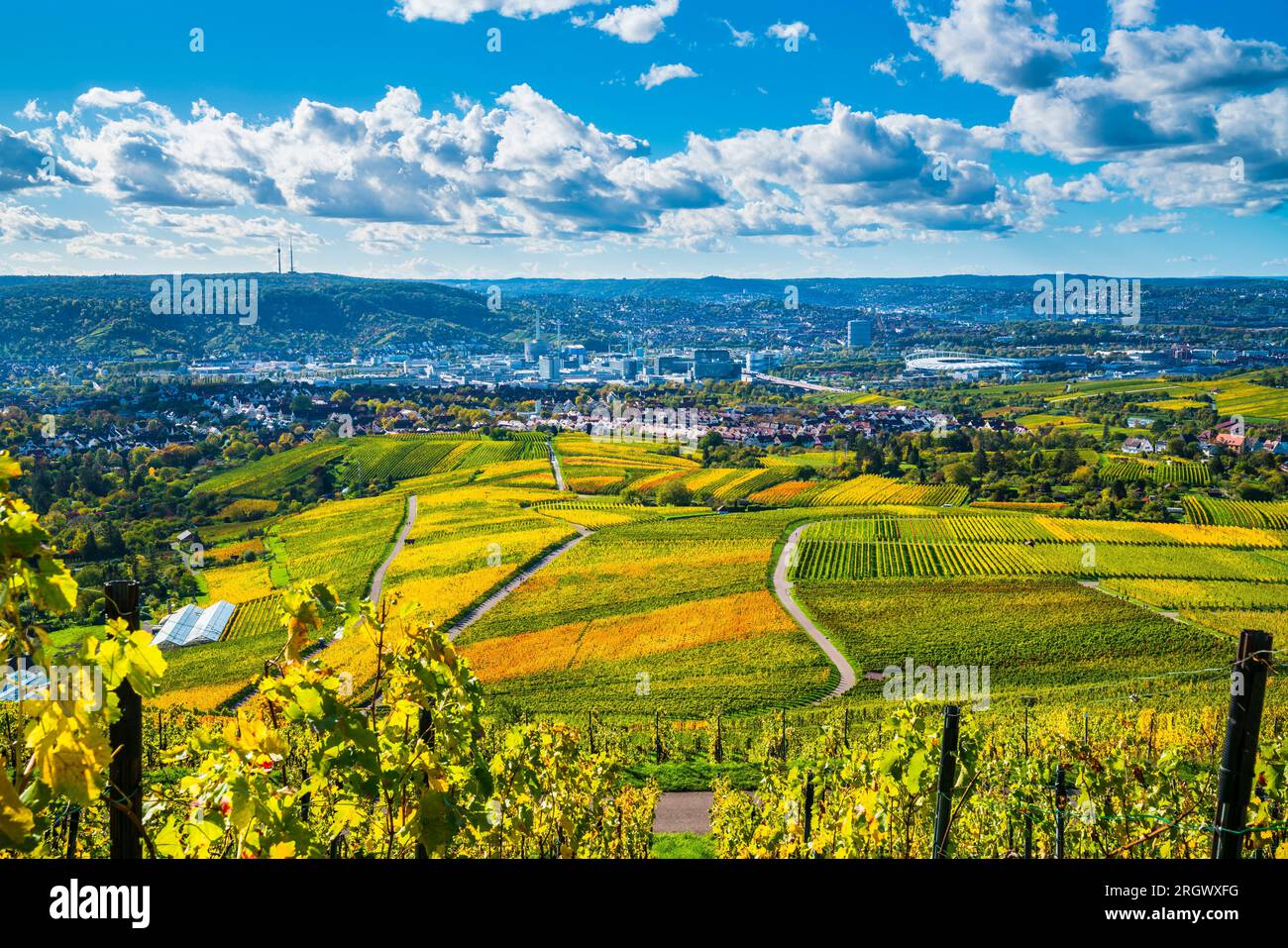 Germany, Stuttgart industrial skyline city vineyard panorama view arena ...
