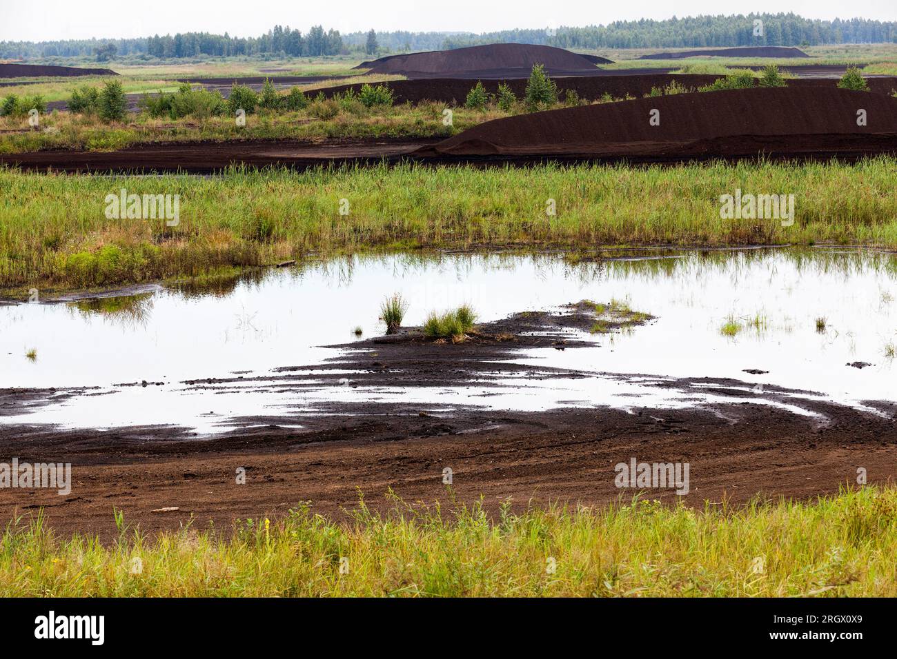 black peat is stacked in huge piles for loading on transport, the ...