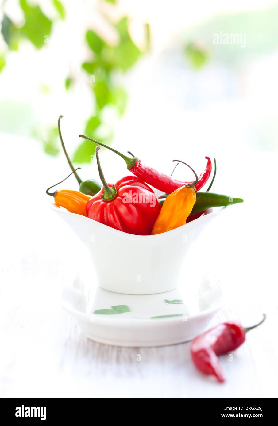 Chili pepper collection hi-res stock photography and images - Alamy