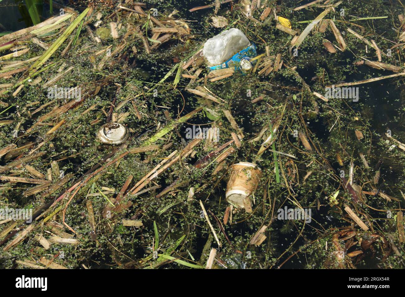 garbage-in-the-city-canal-ecological-problems-in-europe-stock-photo