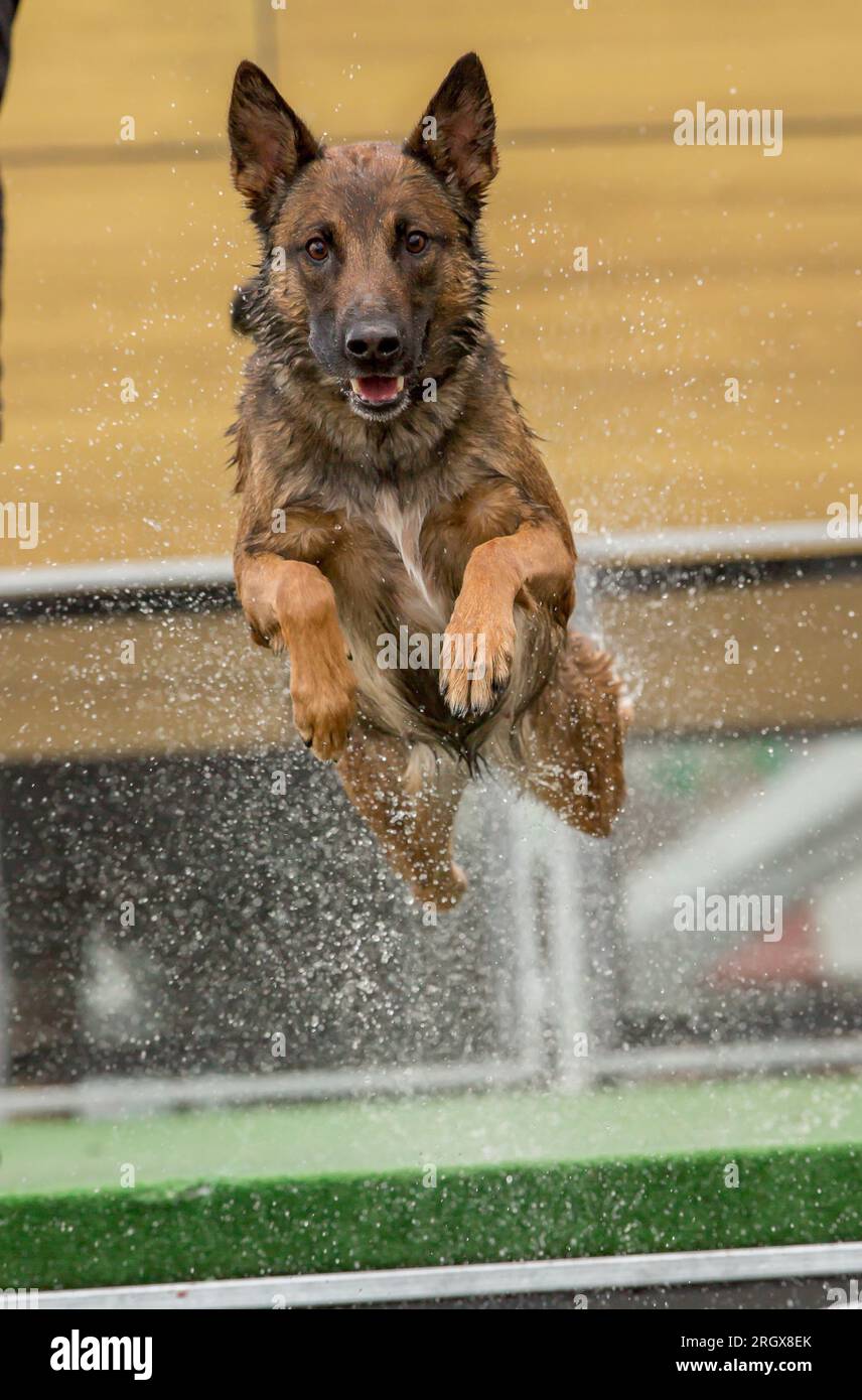 Extreme frisbee hi-res stock photography and images - Alamy