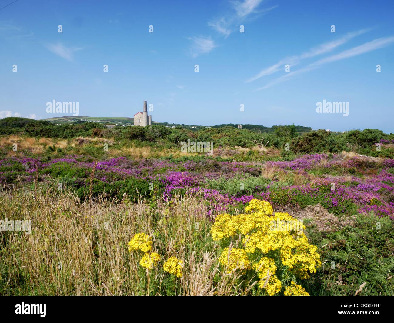 Restored engine house, Wheal Kitty, St Agnes, Cornwall Stock Photo Alamy
