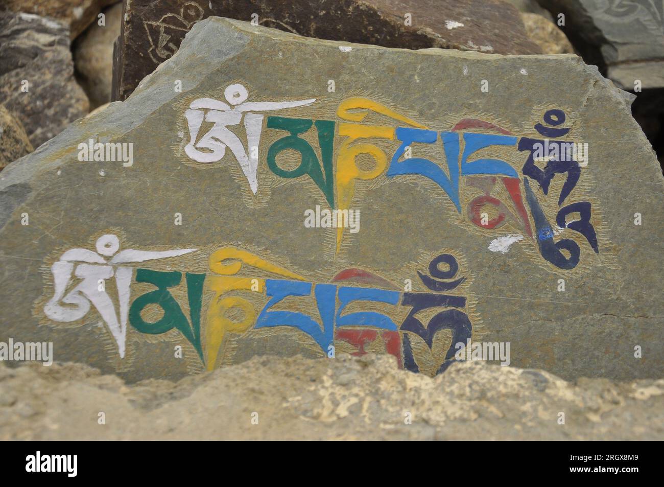 Carved stones with Tibetan script 'Om Mani Padme Hum' in Ladakh, INDIA Stock Photo