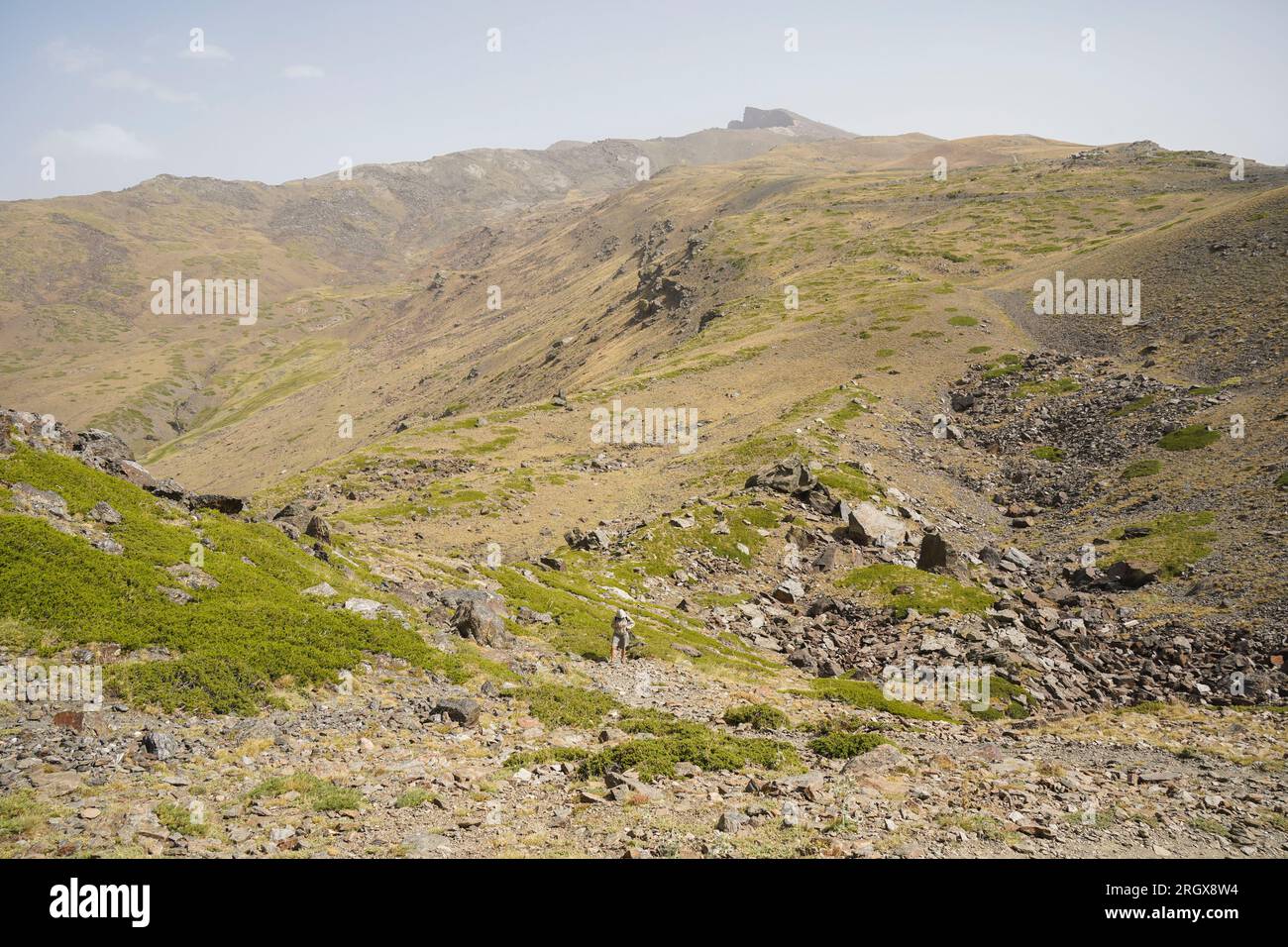 Alpine grasslands at Borreguiles de San Juan, Sierra nevada National Park at 2500m altitud. Granada, Andalusia, Spain. Stock Photo