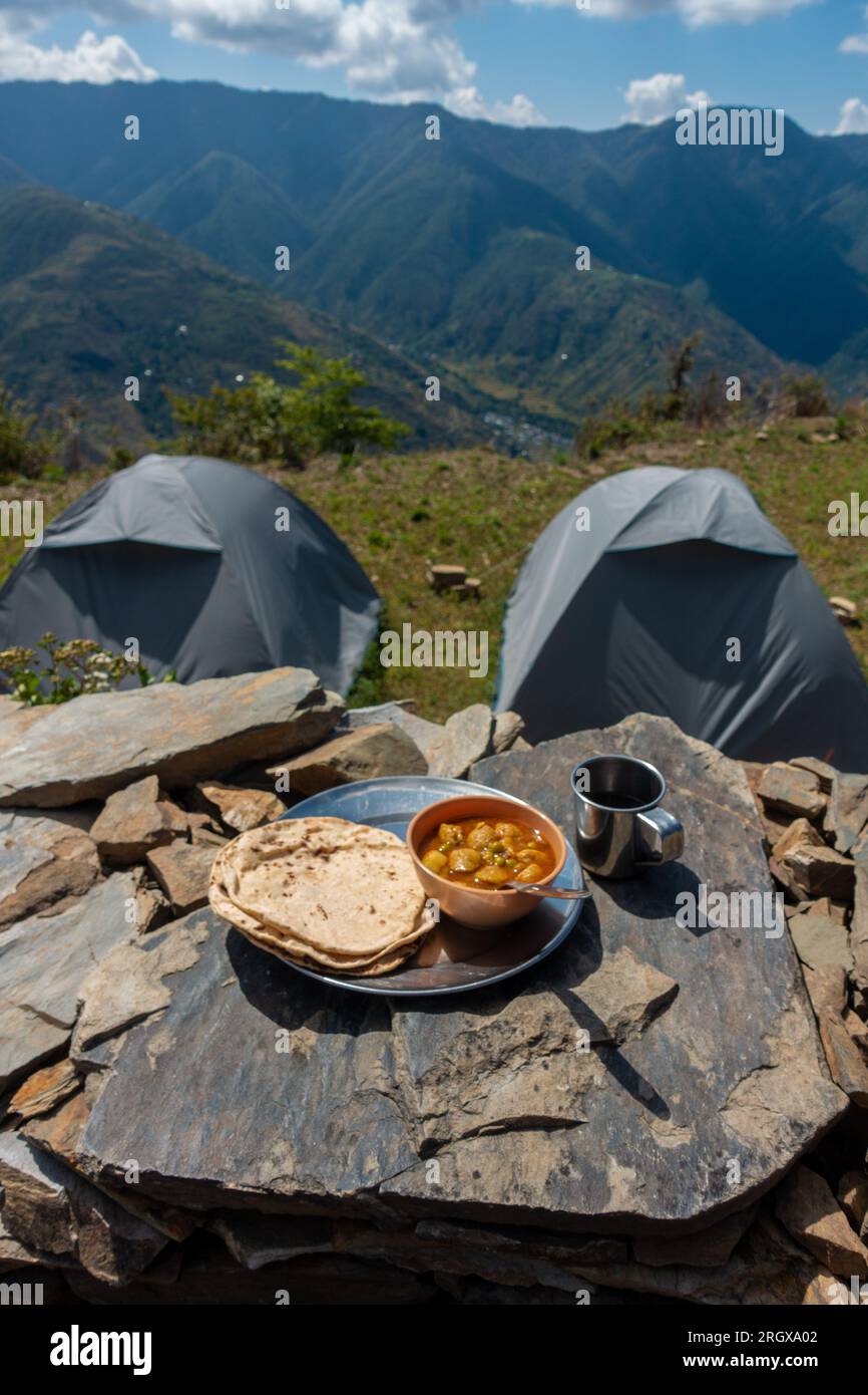 Indian RotiSabzi ( Indian bread and vegetable curry) food platter in
