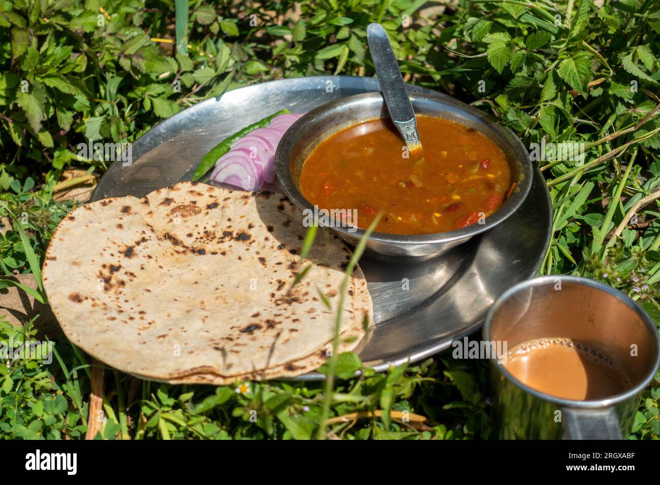 Indian RotiSabzi ( Indian bread and vegetable curry) food platter and