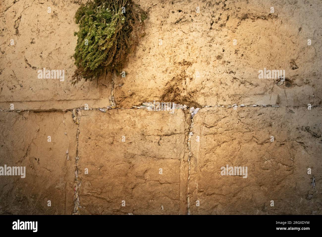 Klagemauer in Jerusalem Abends mit Goldenem Licht und sehr vielen Zeteln in den Spalten Stock Photo