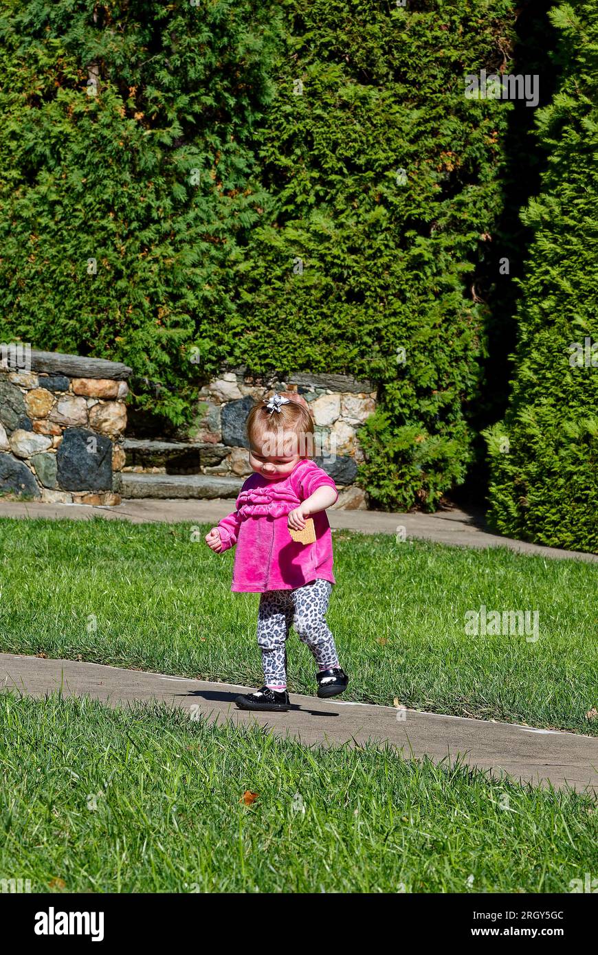 little girl dancing, outdoors, green grass, tall shrubs, holding