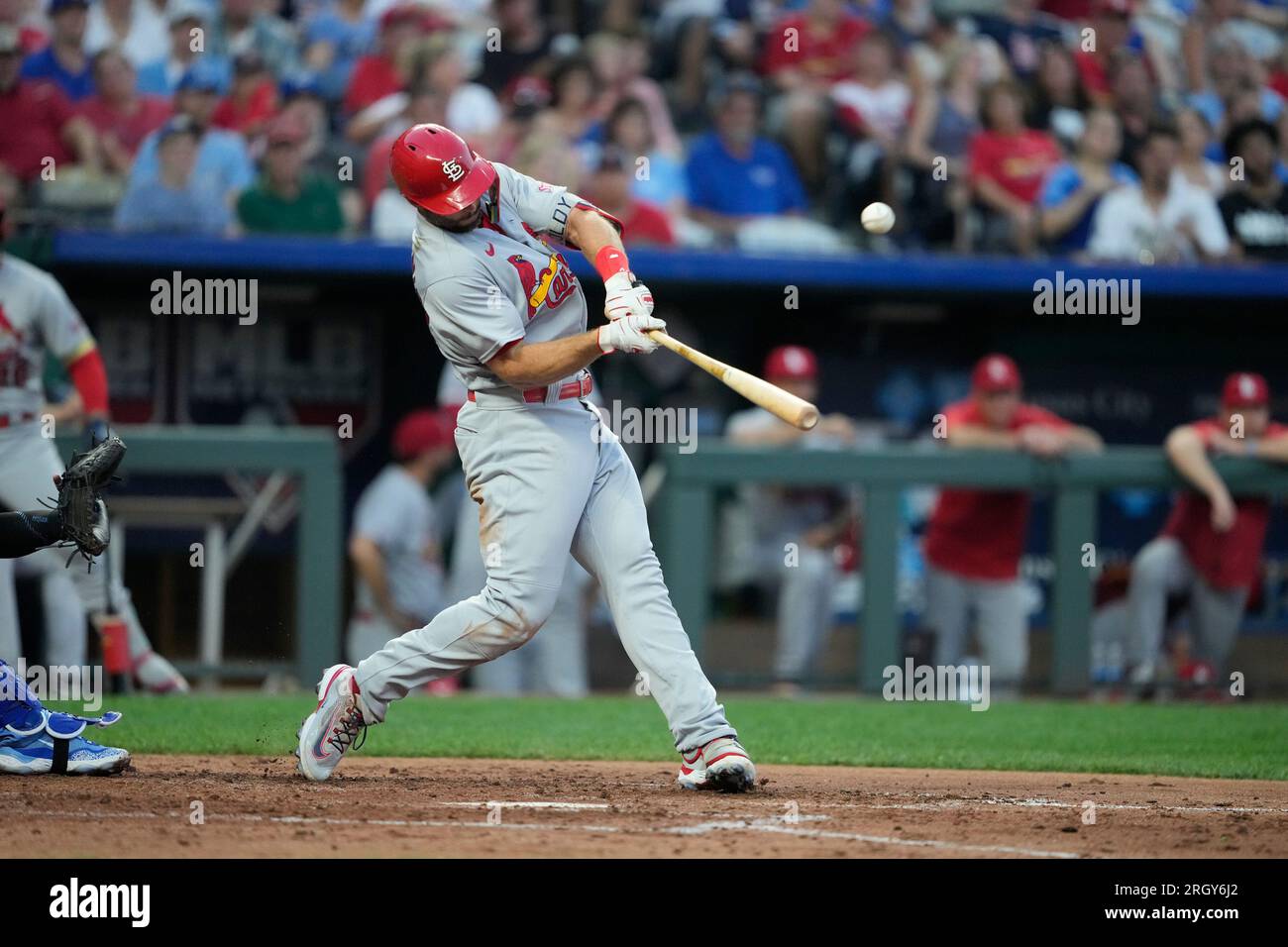 Kansas, USA. 11th Aug, 2023. AUG 11, 2023: St. Louis Cardinals First ...