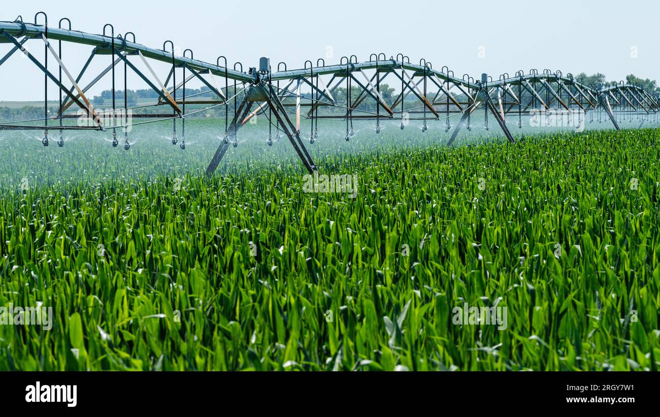 An Irrigation Rigg in Nebraska sprays a corn crop at regular intervals ...