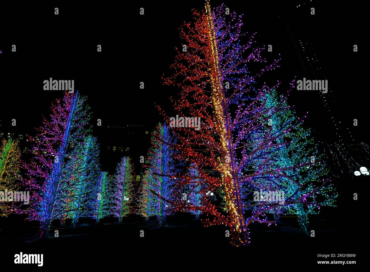 Neon Christmas Trees Canary Wharf Winter Lights art festival 2019