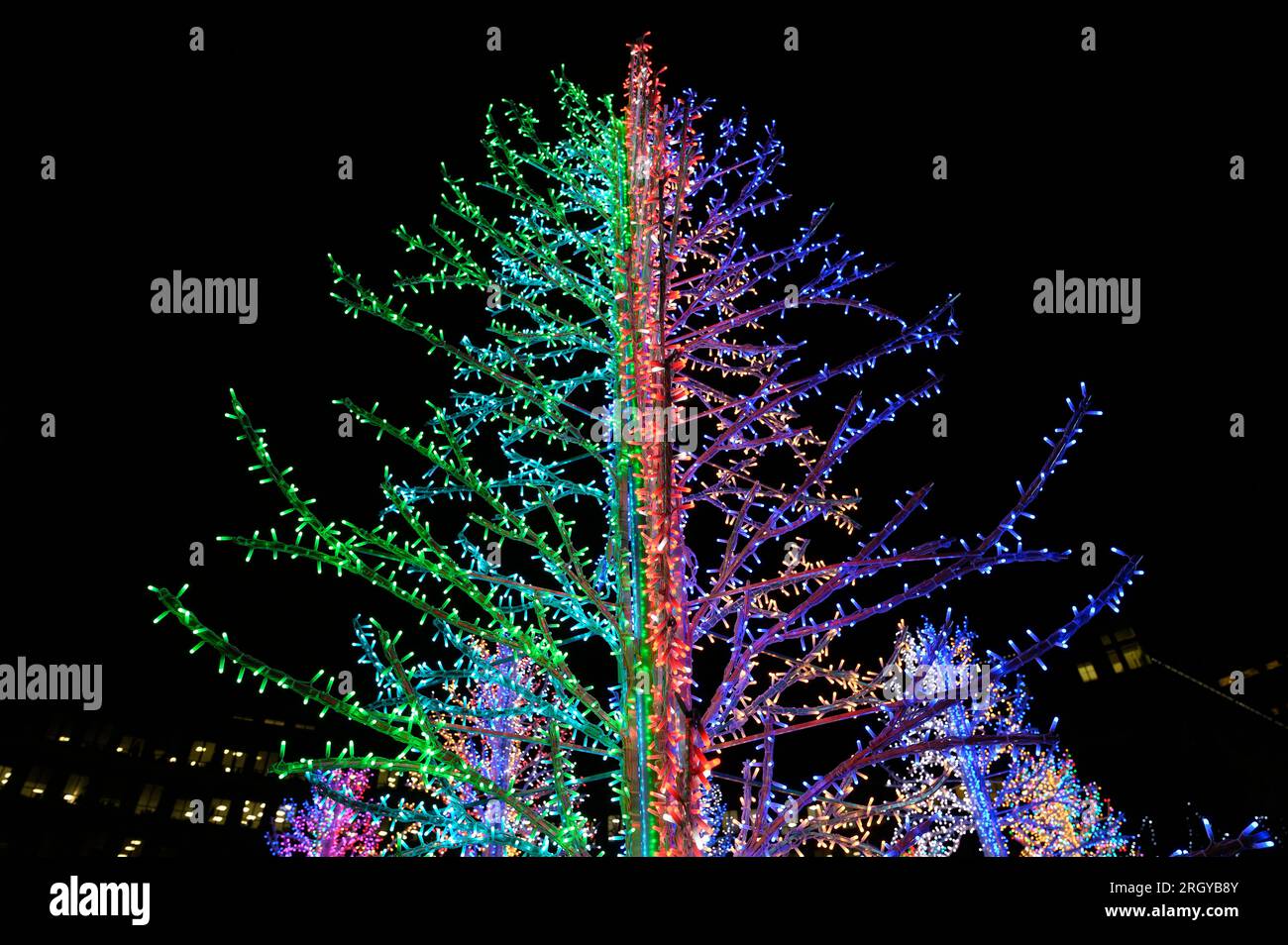 Neon Christmas Trees Canary Wharf Winter Lights art festival 2019
