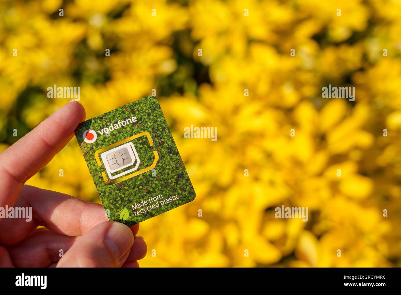 Vodafone SIM Card made from recycled plastic. Close up image with blurred background and copy space. Stafford, United Kingdom, August 12, 2023 Stock Photo