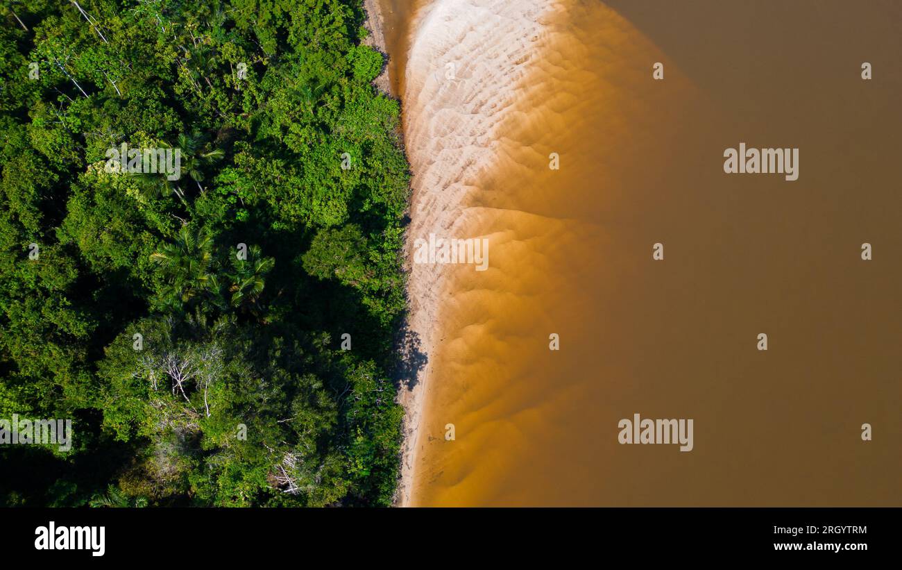 The Amazon rivers in the summer season present white sand beaches