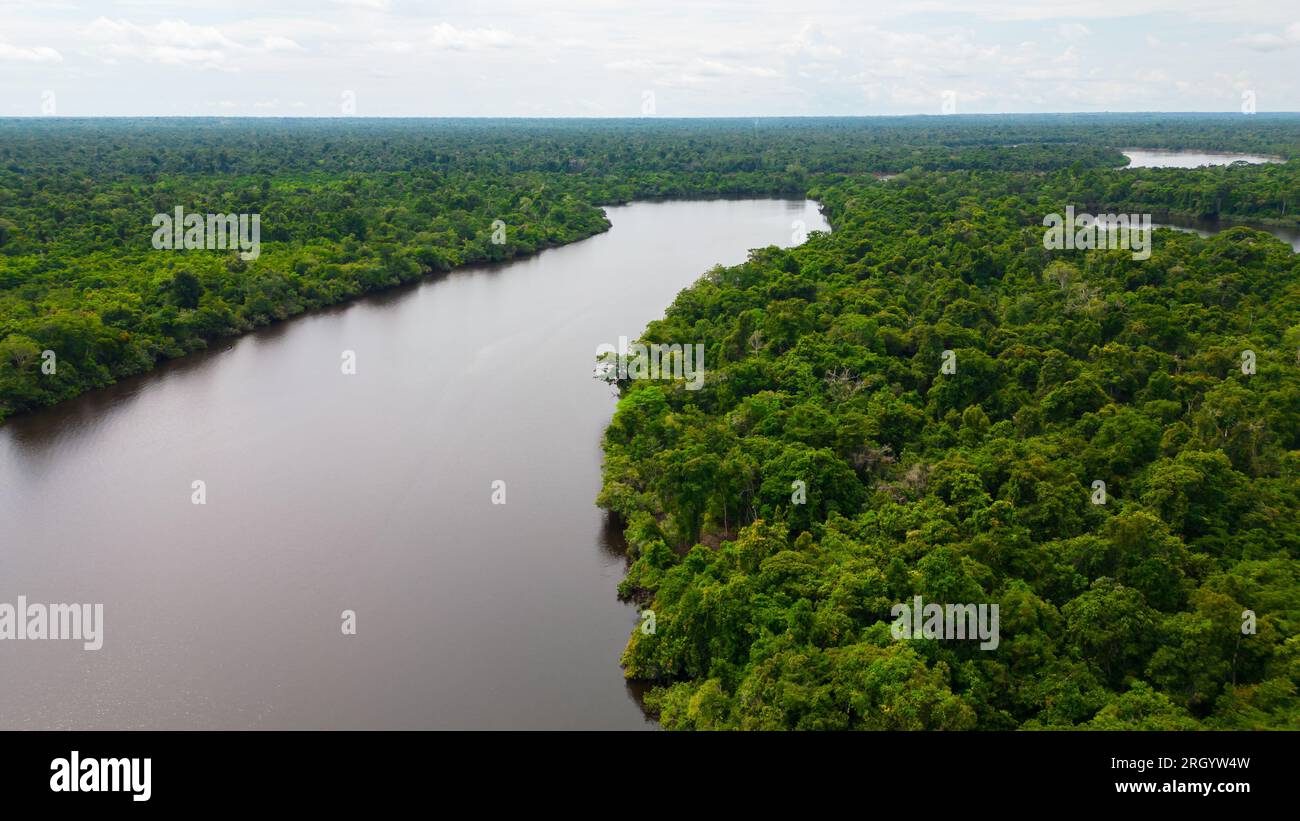 The Amazon rivers in the summer season present white sand beaches, Amazonian beaches that are