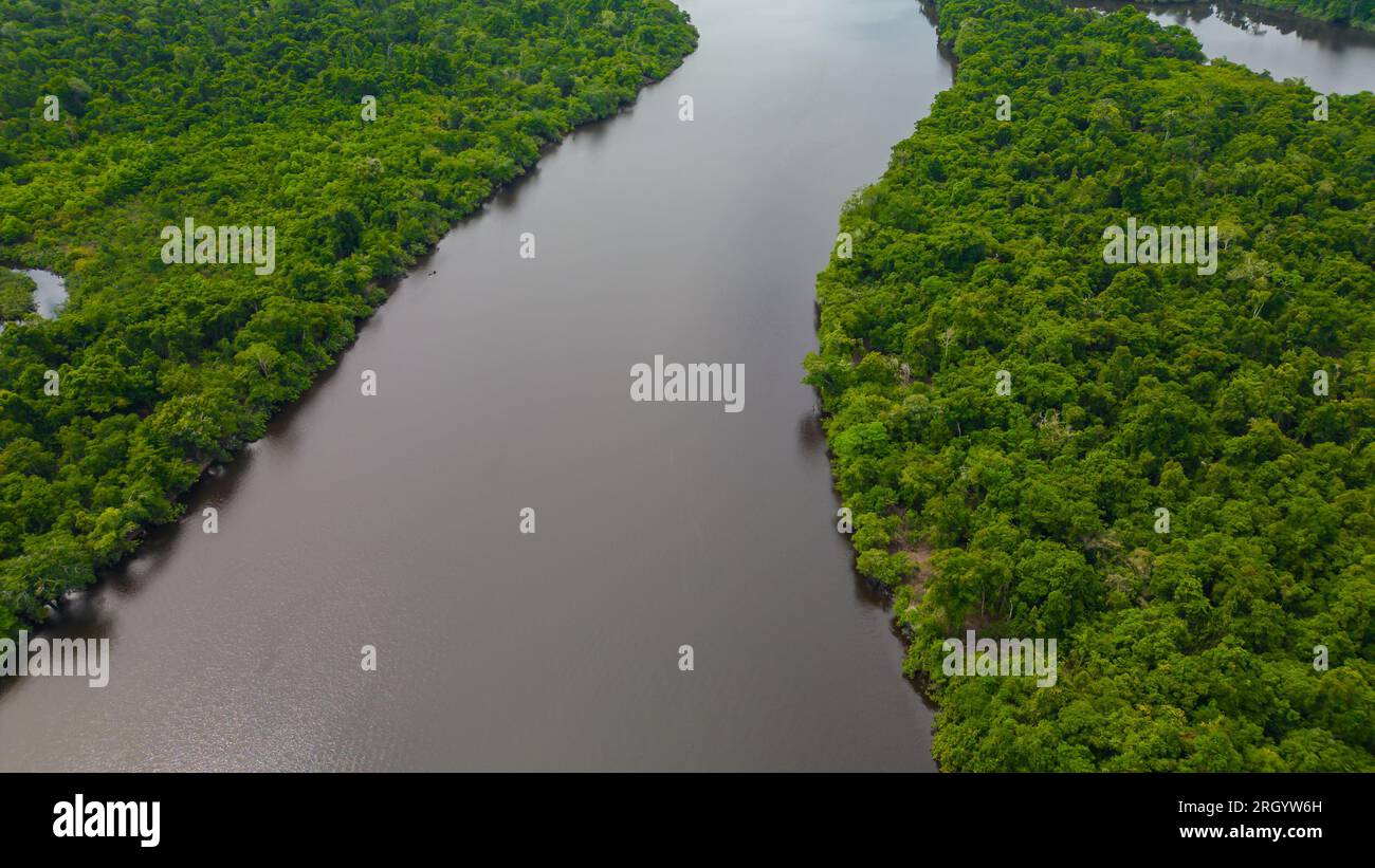 The Amazon rivers in the summer season present white sand beaches, Amazonian beaches that are