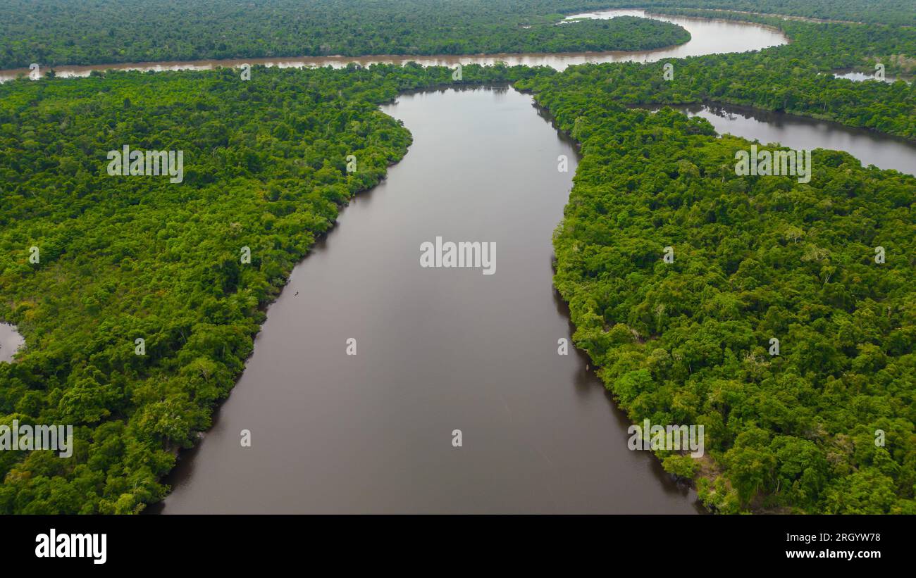 The Amazon rivers in the summer season present white sand beaches