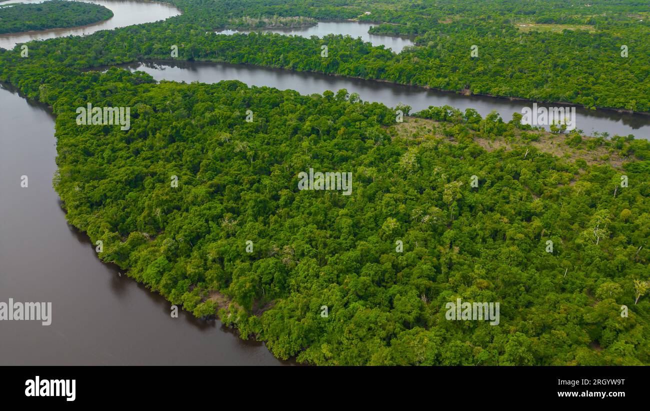 The Amazon rivers in the summer season present white sand beaches, Amazonian beaches that are