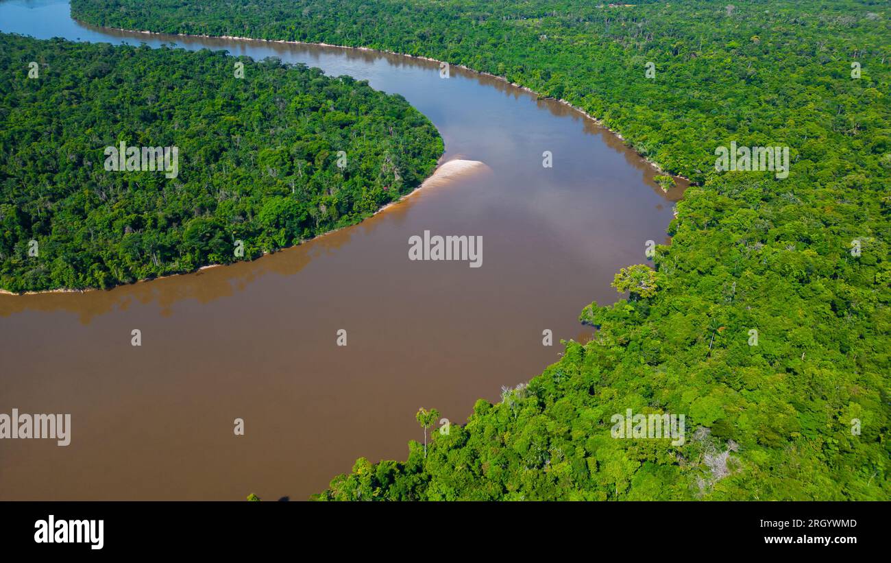 The Amazon rivers in the summer season present white sand beaches