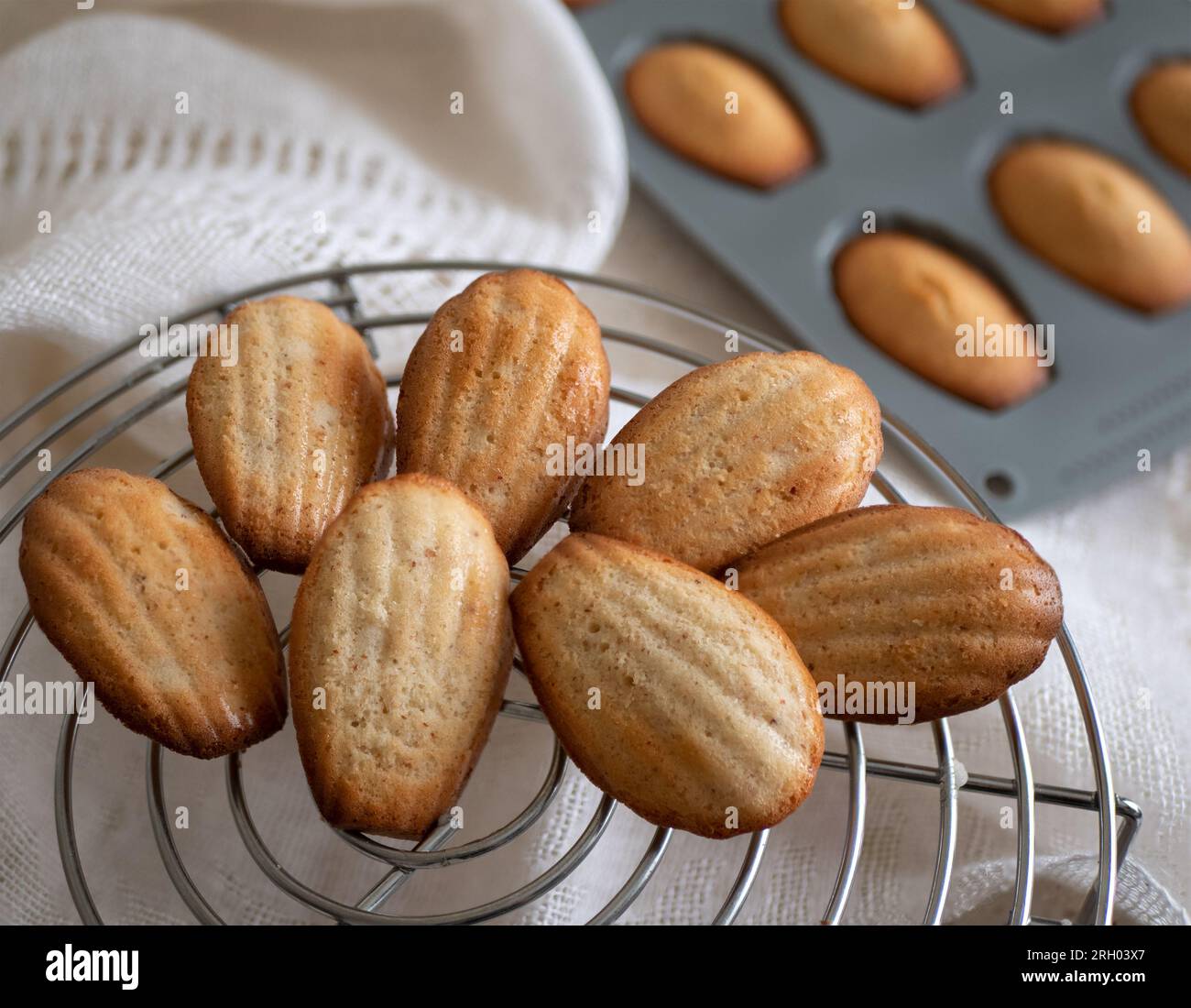 Freshly baked madeleine cookies are getting cold on the grate, close up ...